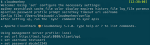cloudmonkey start screen -