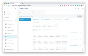 Virtual Private Cloud - Apiculus | CloudStack\